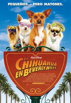 Cartel de Un Chihuahua en Beverly Hills