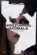 Animales nocturnos