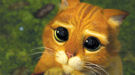 Shrek contar� con cinco pel�culas