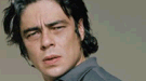 Benicio del Toro ser� el Che Guervara en una nueva pel�cula de producci�n espa�ola