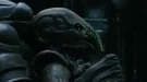 Avance del nuevo tráiler de Prometheus