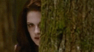 Primer teaser tráiler oficial de Amanecer: Parte 2