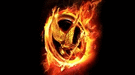 Ni Garrett Hedlund ni Armie Hammer optan al papel de Finnick Odair en la secuela de Los juegos del hambre