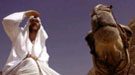 Primer cartel de Where in the world is Osama Bin Laden?