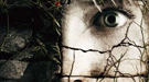 Nuevo p�ster de The ruins