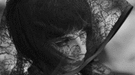 Take Shelter y Blancanieves, las mejores películas de 2012 para los críticos españoles