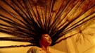 Exte: hair extensions, terror capilar