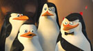 Nuevas im�genes de Madagascar 2
