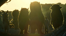 Featurette de Donde viven los monstruos