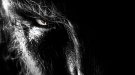 Nuevos problemas para The wolfman