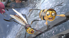 Unas cuantas im�genes de Bee movie