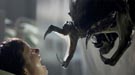 Tres espectaculares im�genes de AVP-R
