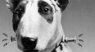 Sinopsis oficial de Frankenweenie de Tim Burton