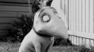 Primeras imágenes oficiales de Frankenweenie de Tim Burton
