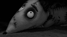Nueva imagen de Frankenweenie de Tim Burton