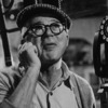 vuelvewilder