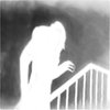 Orlok