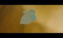 Trailer Nocturna #2