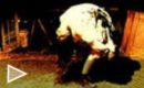 Tráiler El último exorcismo