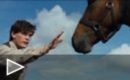 Tráiler español Caballo de batalla #2
