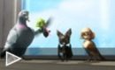 Tráiler Plumíferos: Aventuras voladoras