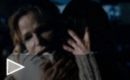 Clip Reacciones The Possession (El origen del mal)