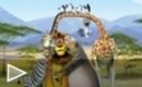 Trailer Madagascar 2 #1