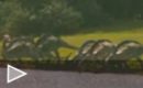 Tráiler de Jurassic Park 3D