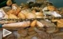 Trailer Nosotros alimentamos al mundo
