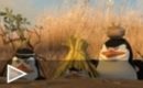 Trailer Madagascar 2 #4