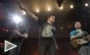 Trailer El canto del loco. La pel�cula
