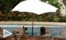 Trailer Un chihuahua en Beverly Hills