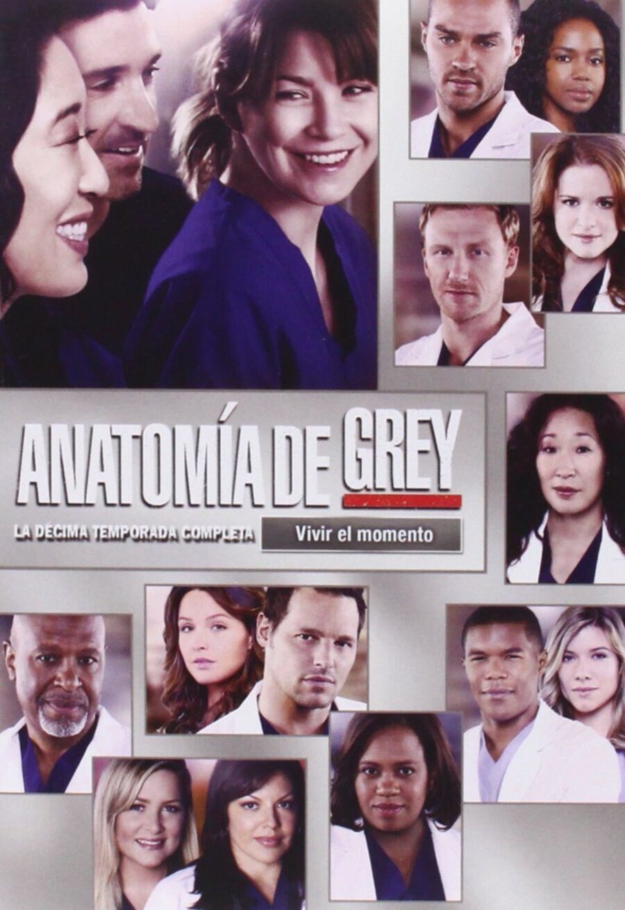 Cartel de Anatomía de Grey - Temporada 10