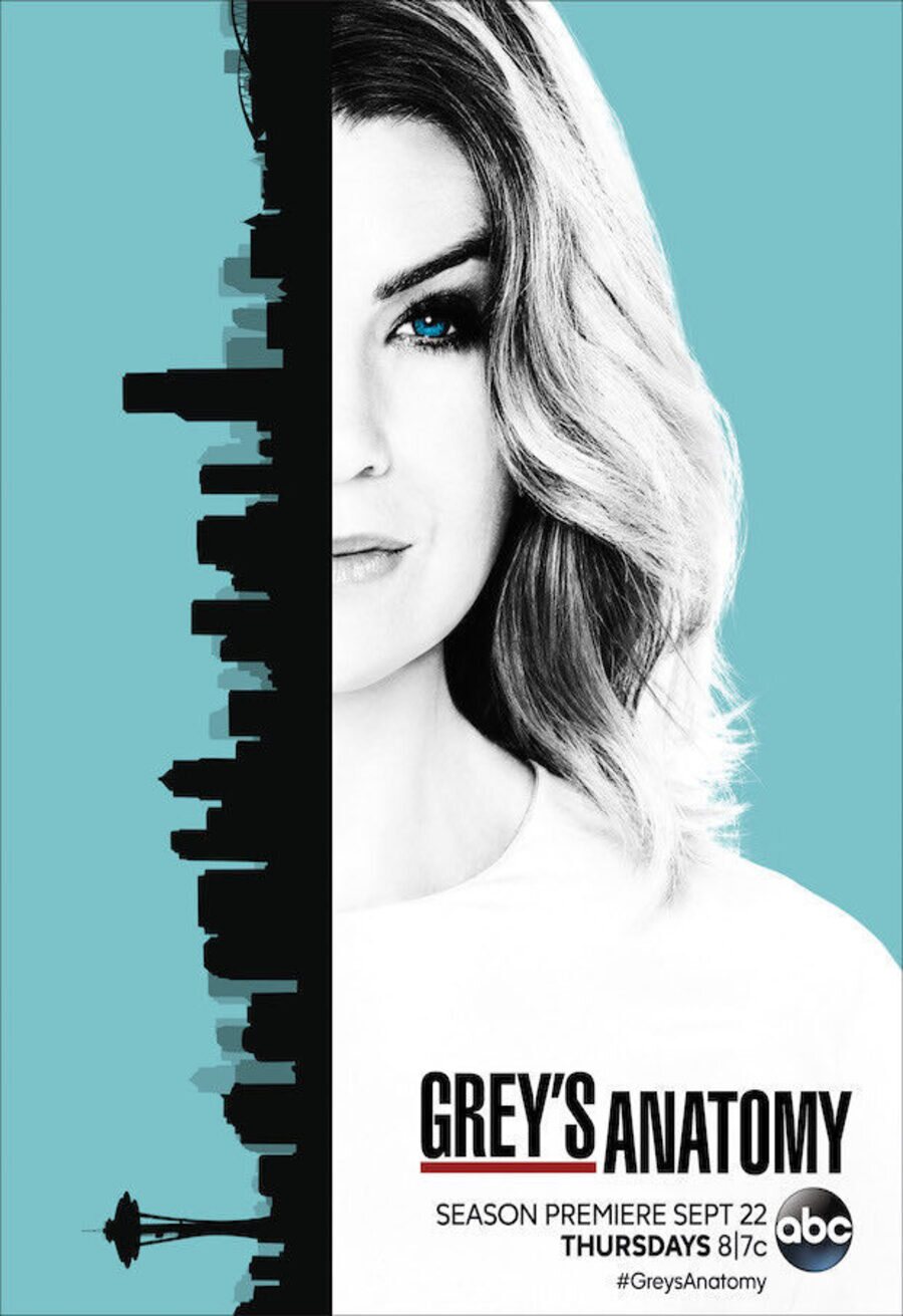 Cartel de Anatomía de Grey - Temporada 13