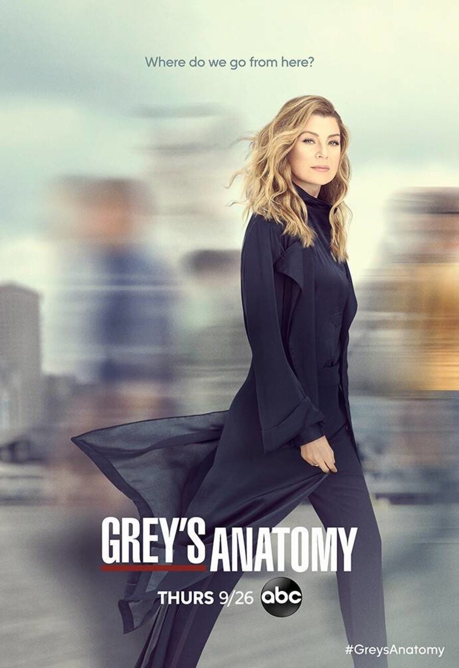 Cartel de Anatomía de Grey - Temporada 16