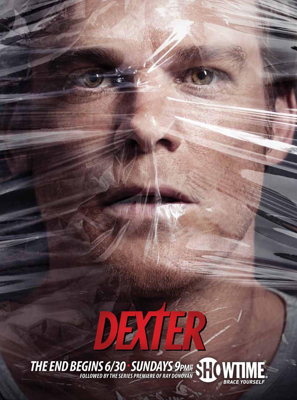 Cartel Temporada 8 de 'Dexter'