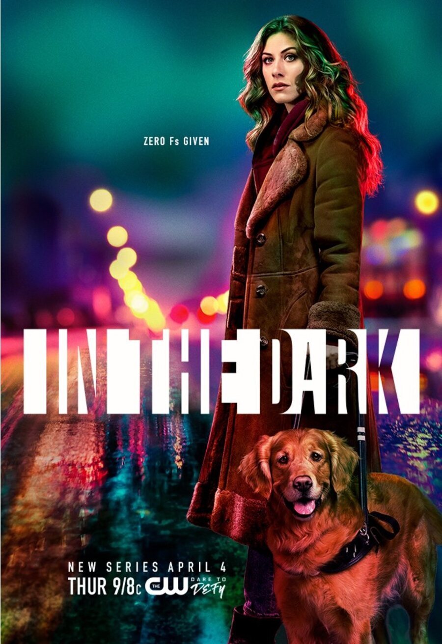 Cartel de In the Dark - 