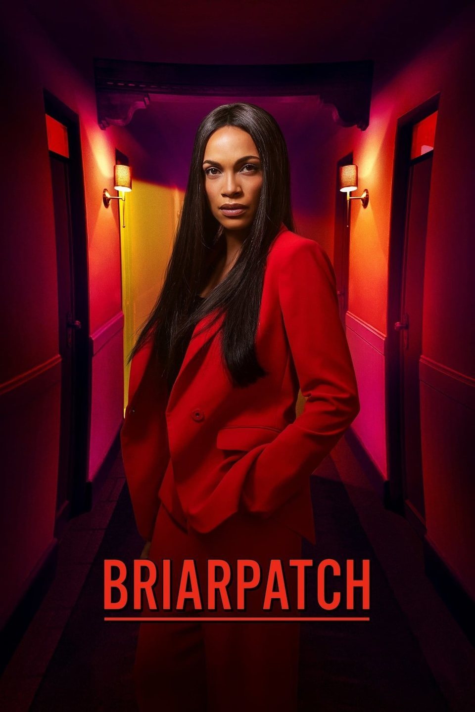 Cartel de Briarpatch - Temporada 1