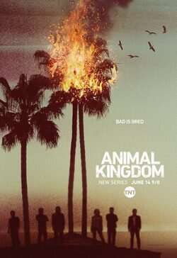 Cartel de Animal Kingdom