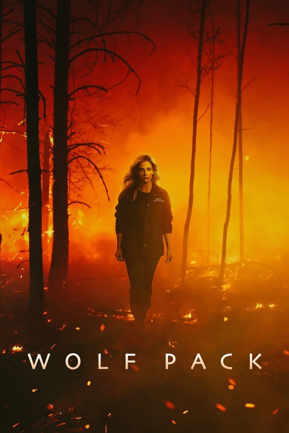 Cartel de Wolf Pack - Temporada 1