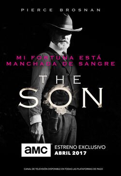 Cartel de The Son