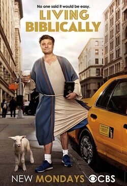 Cartel de Living Biblically