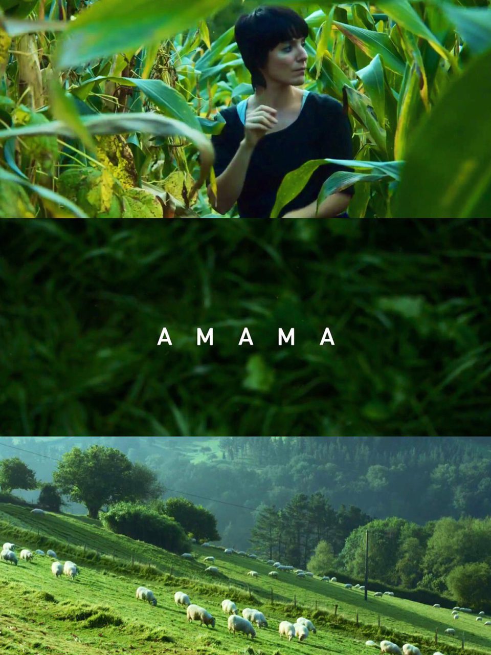 Cartel de Amama - Amama