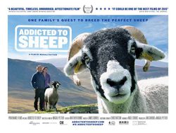 Cartel de Addicted to sheep