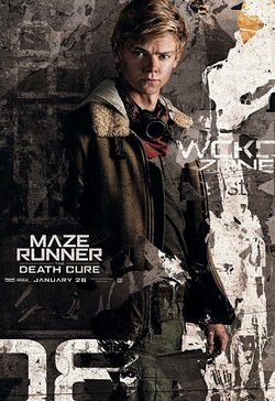 Poster Newt