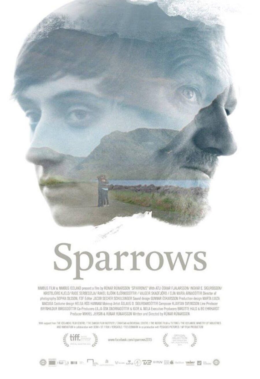 Cartel de Sparrows (Gorriones) - Sparrows