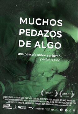 Póster 'Muchos pedazos de algo'