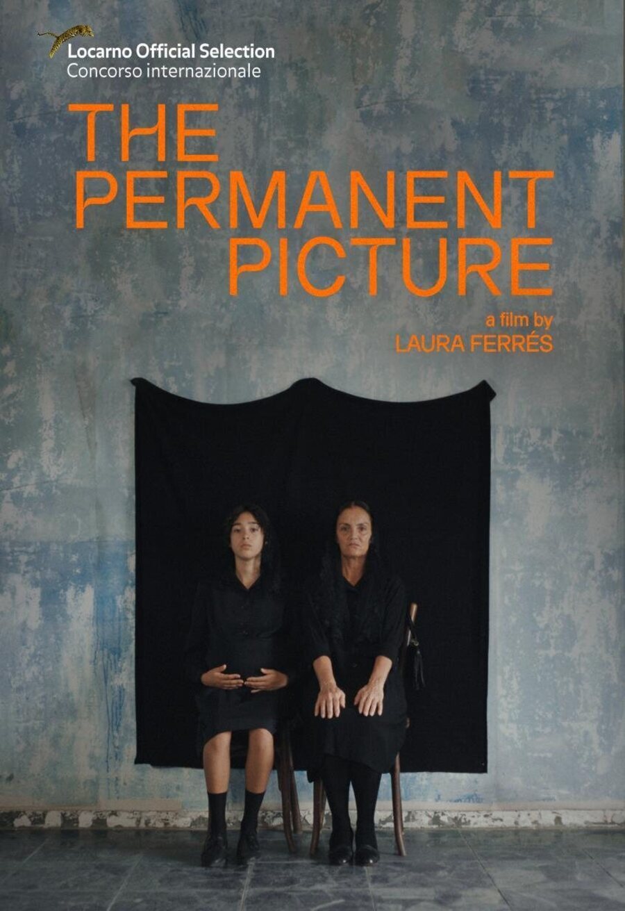 Cartel de La imagen permanente - La imagen permanente