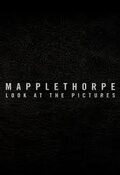 Mapplethorpe: Look at the pictures