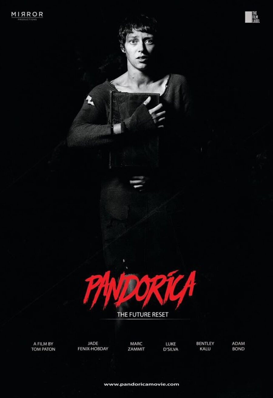 Cartel de Pandorica - Flinn